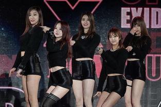 exid 上下女主播,网络红人的崛起与挑战