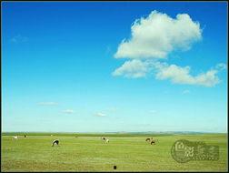 天阔图片,探寻自然与人文的和谐共鸣