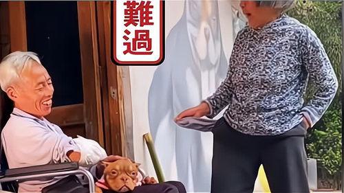 老太搞笑视频播放,欢乐瞬间引网友热议